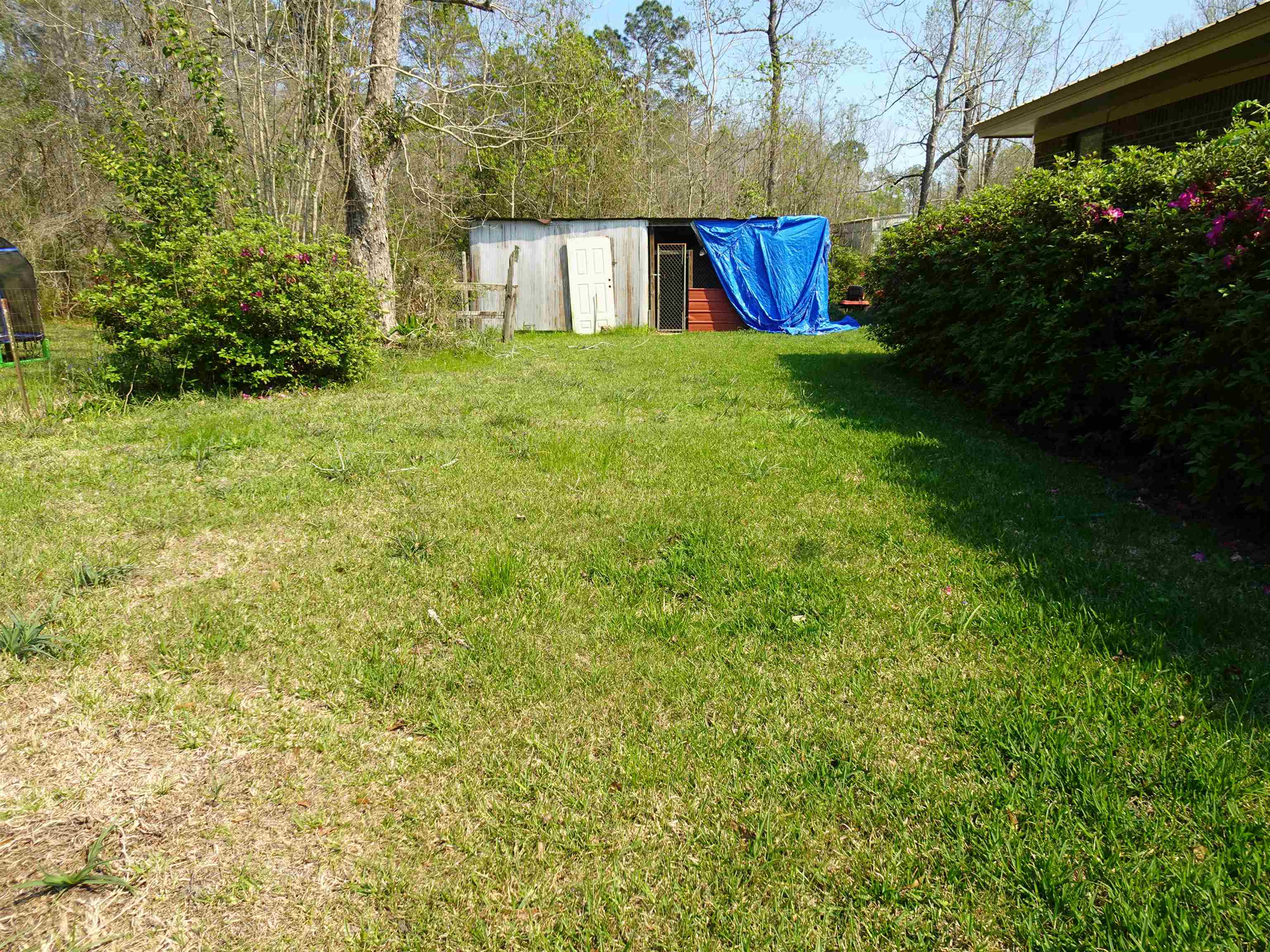 22937 Mcphail Farm Road Florala, AL 36442 - Photo 14 of 15 Gallery Image 14