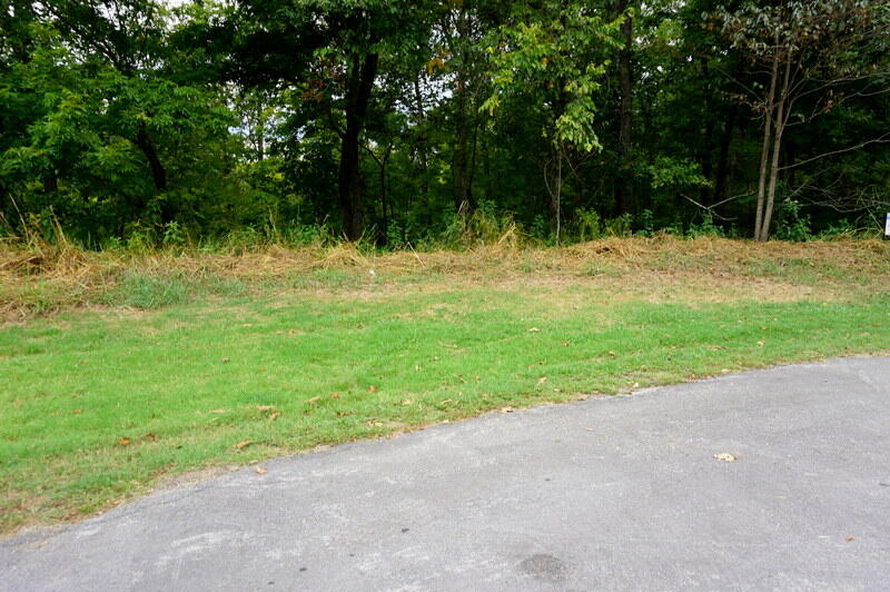Lot 11 Oak Bluff Road Branson, MO 65616 - Photo 1 of 1 DSC04003