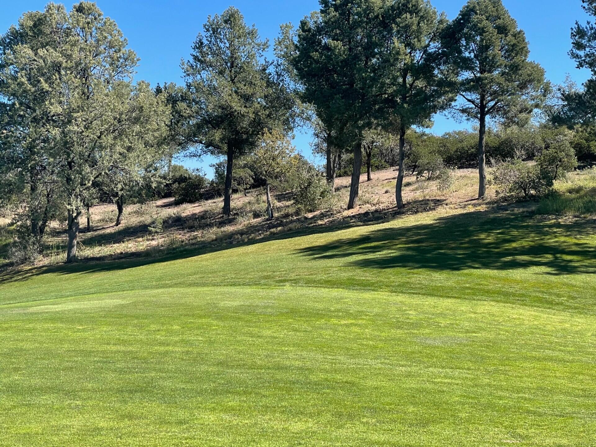 210 South Rim Club Drive Payson, AZ 85541 - Photo 7 of 19 a view of a lake view