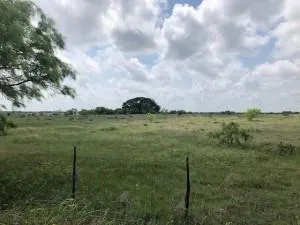 a view of a lake from a yard
