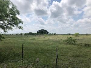 2232 Private Road 4032 Road Eden, TX 76837 - Photo 3 of 40 a view of a lake from a yard