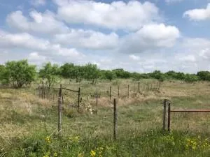 a view of a green field