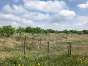 2232 Private Road 4032 Road Eden, TX 76837 - Photo 34 of 40 a view of lake with green space