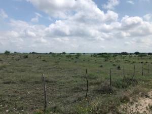 2232 Private Road 4032 Road Eden, TX 76837 - Photo 35 of 40 a view of a green field