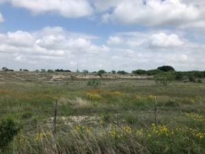2232 Private Road 4032 Road Eden, TX 76837 - Photo 7 of 40 a view of outdoor space and city view