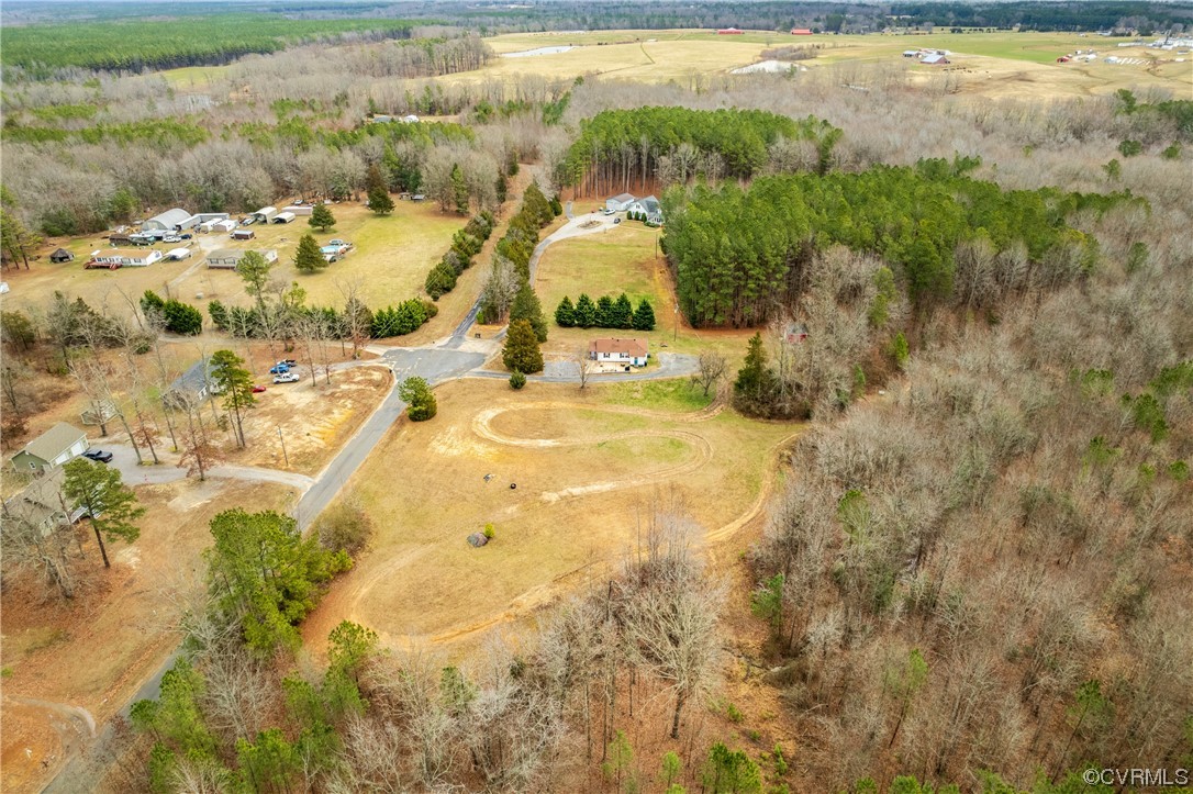12901 Ruth Hill Road Church Road, VA 23833 - Photo 48 of 50 a view of yard with green space