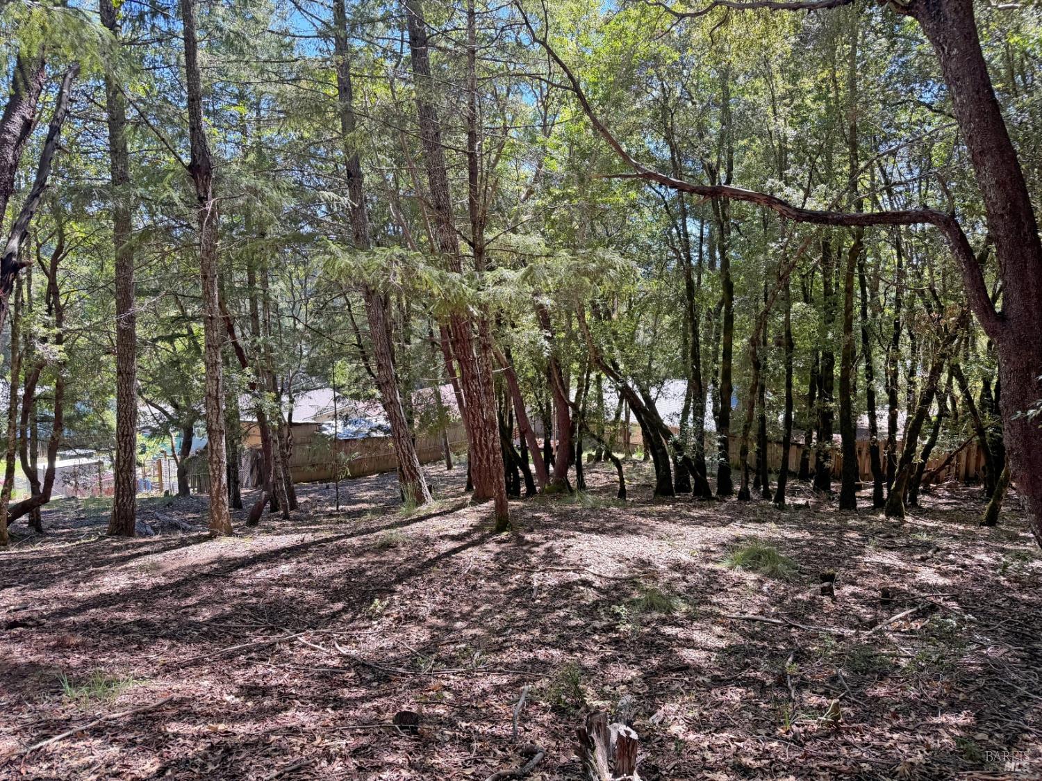 2076 Buckeye Road Willits, CA 95490 - Photo 11 of 12 a view of outdoor space with trees
