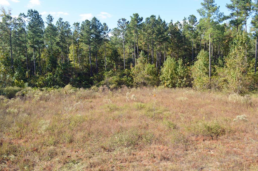 0 Greenhouse Road Gordon, AL 36343 - Photo 16 of 38