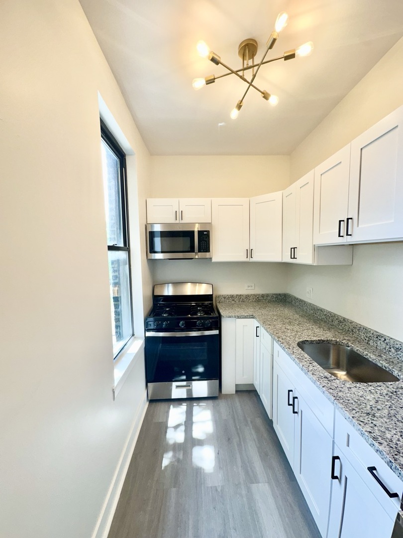 3008 West 23rd Street, Unit 2B Chicago, IL 60623 - Photo 10 of 10 a kitchen with stainless steel appliances granite countertop a stove a sink and a microwave