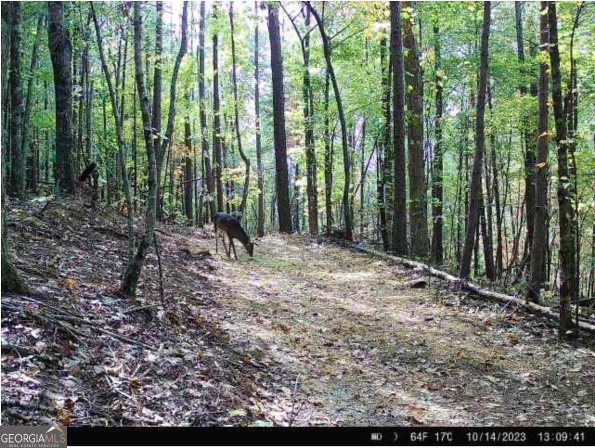 a view of outdoor space and garden