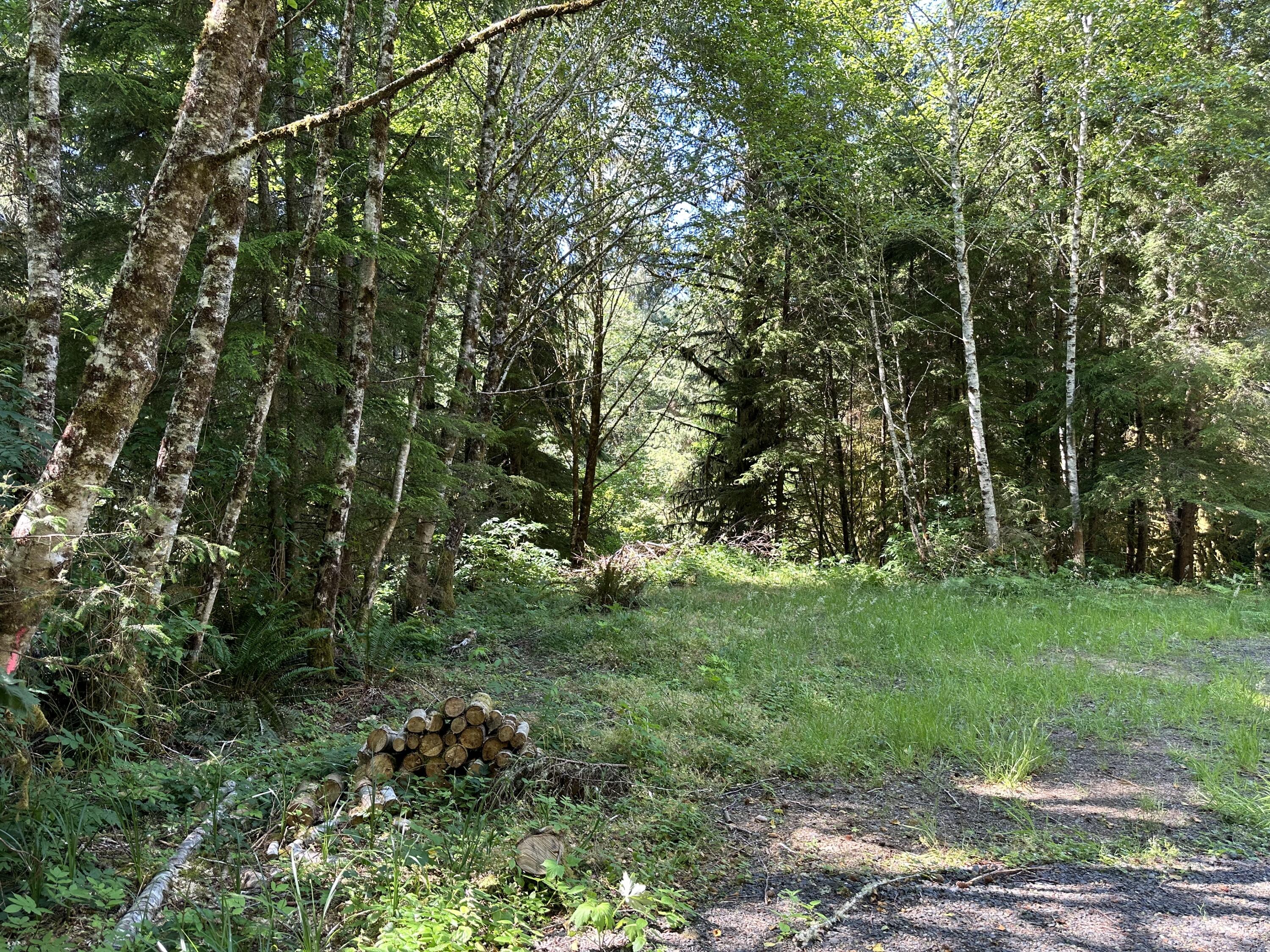 Lot#00300 Whiskey Creek Road Tillamook, OR 97141 - Photo 5 of 14 Level Area