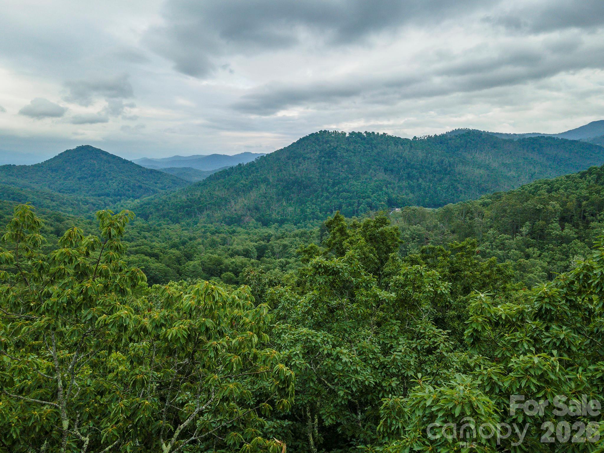 Tbd Summer Haven Road, Unit 16 Swannanoa, NC 28778 - Photo 11 of 45