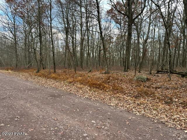 149 Mountain Top Road Lackawaxen, PA 18435 - Photo 12 of 13