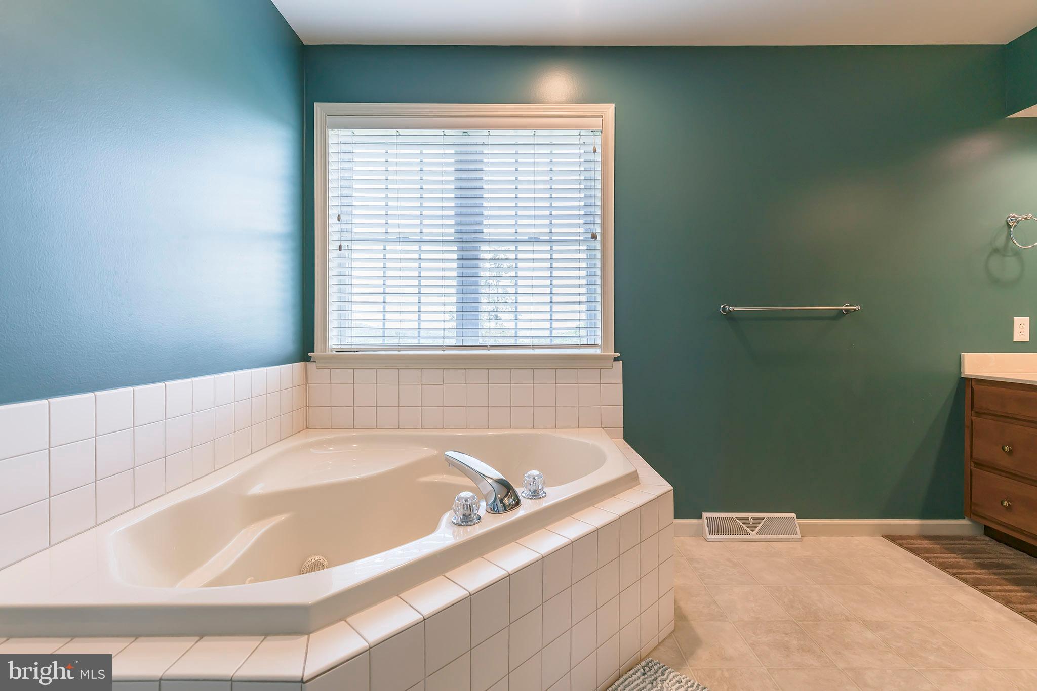 465 Vista Road Columbia, PA 17512 - Photo 13 of 21 Jacuzzi Master Bathroom