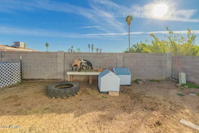 a view of a backyard