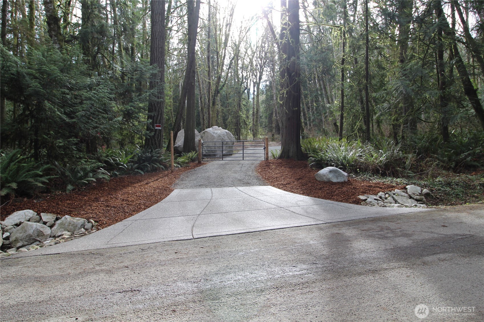 a view of a park with trees