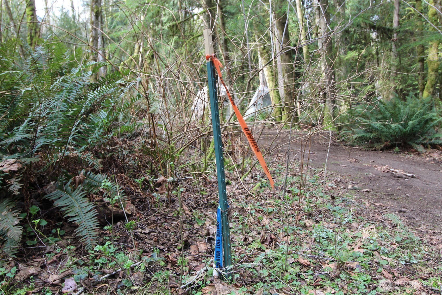 6509 Northeast Sid Price Road Poulsbo, WA 98370 - Photo 15 of 16 a backyard of a house with lots of green space
