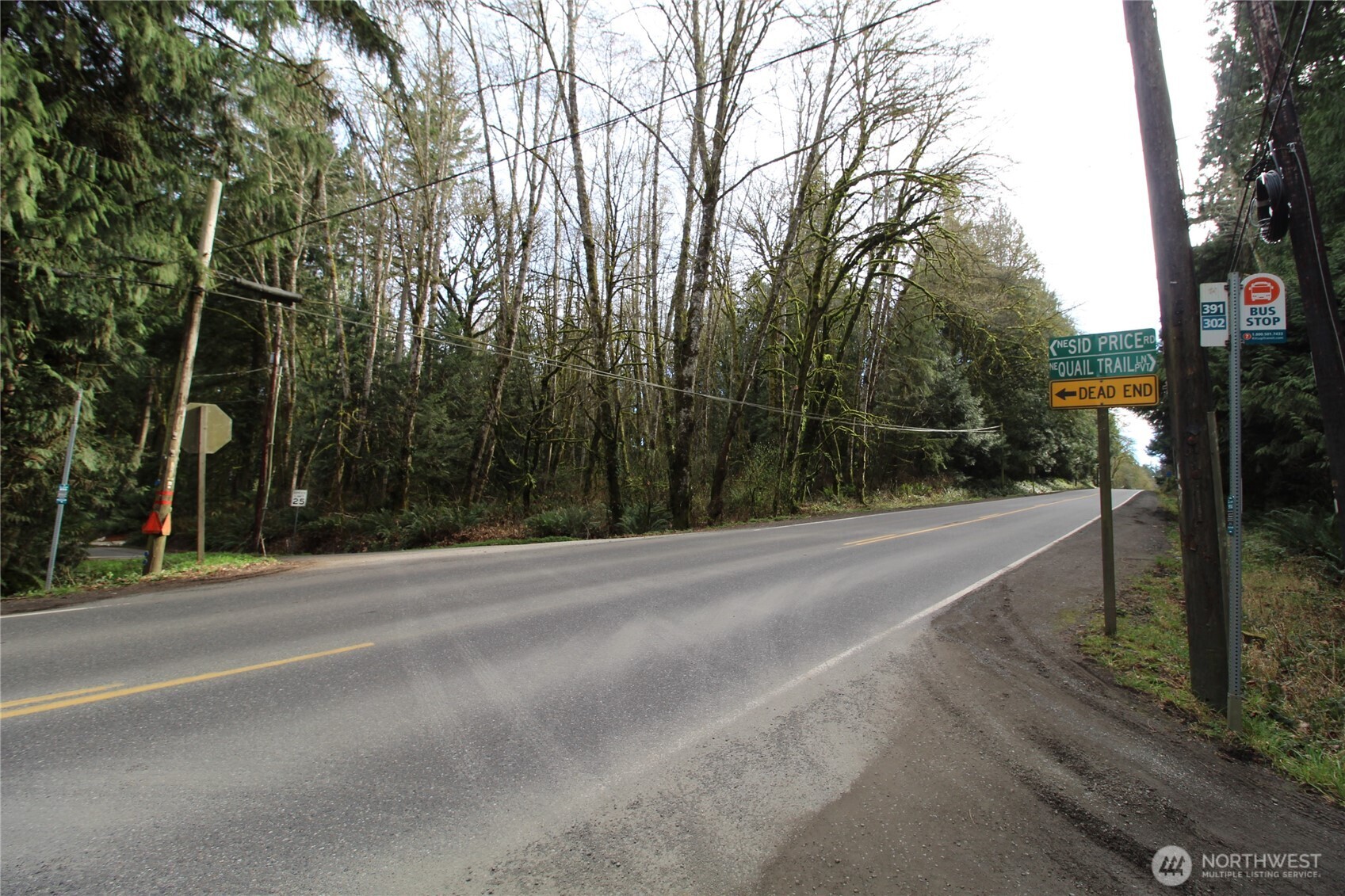 6509 Northeast Sid Price Road Poulsbo, WA 98370 - Photo 16 of 16 a view of a road with a trees