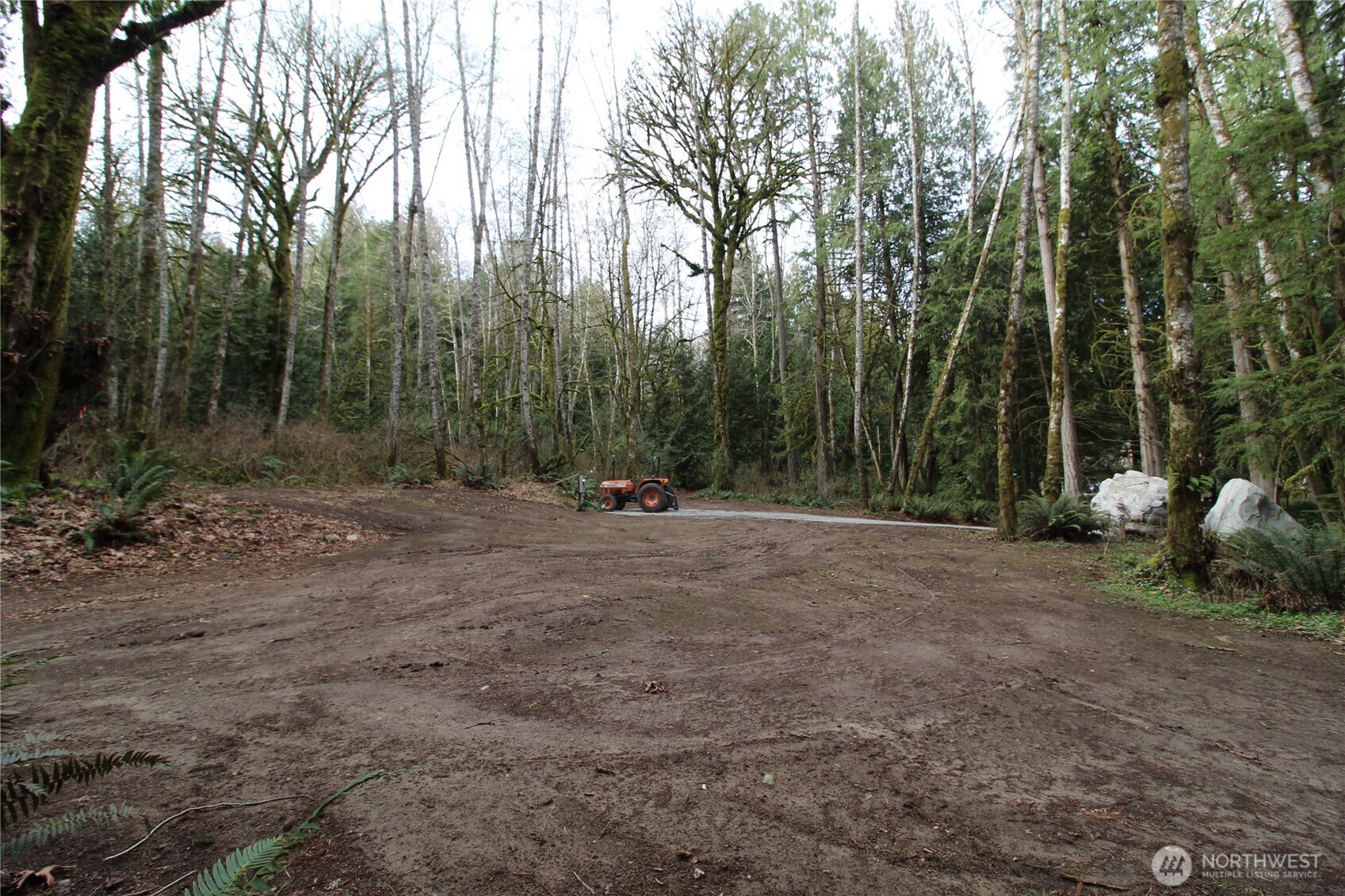 6509 Northeast Sid Price Road Poulsbo, WA 98370 - Photo 6 of 16 a view of a tree with lots of green space