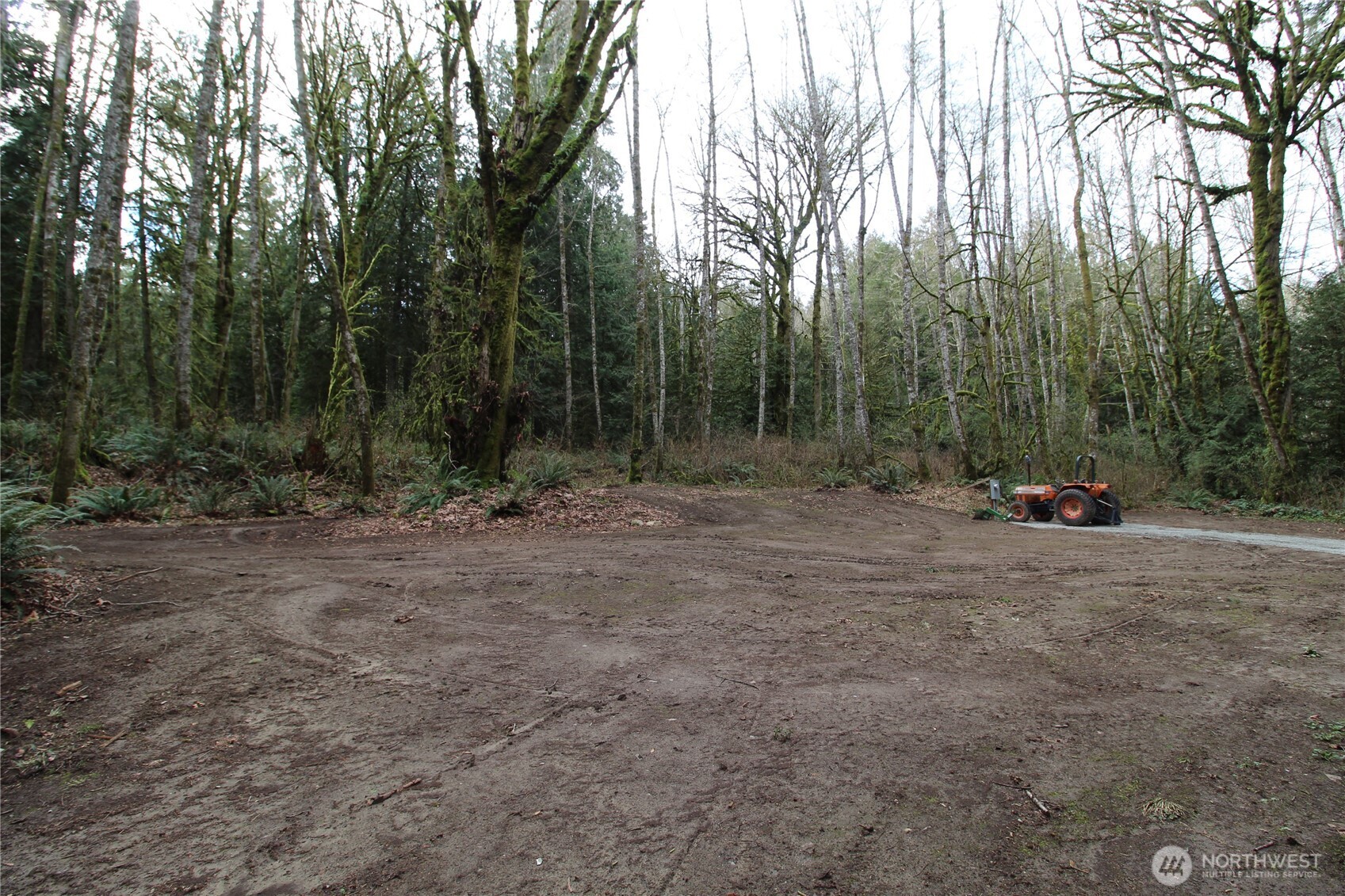 6509 Northeast Sid Price Road Poulsbo, WA 98370 - Photo 7 of 16 a view of outdoor space with trees