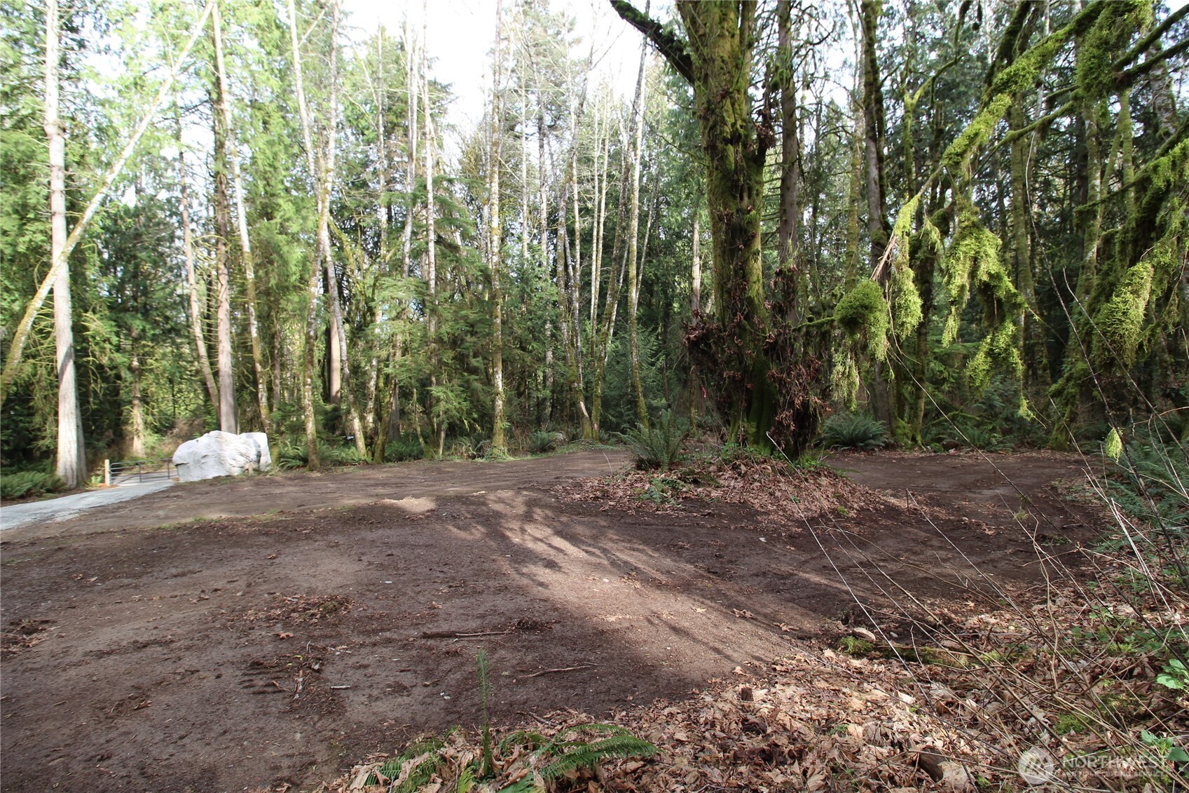 6509 Northeast Sid Price Road Poulsbo, WA 98370 - Photo 8 of 16 a view of a yard with large trees