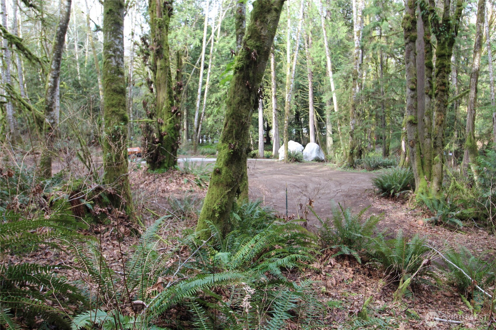 6509 Northeast Sid Price Road Poulsbo, WA 98370 - Photo 10 of 16 a view of a outdoor space
