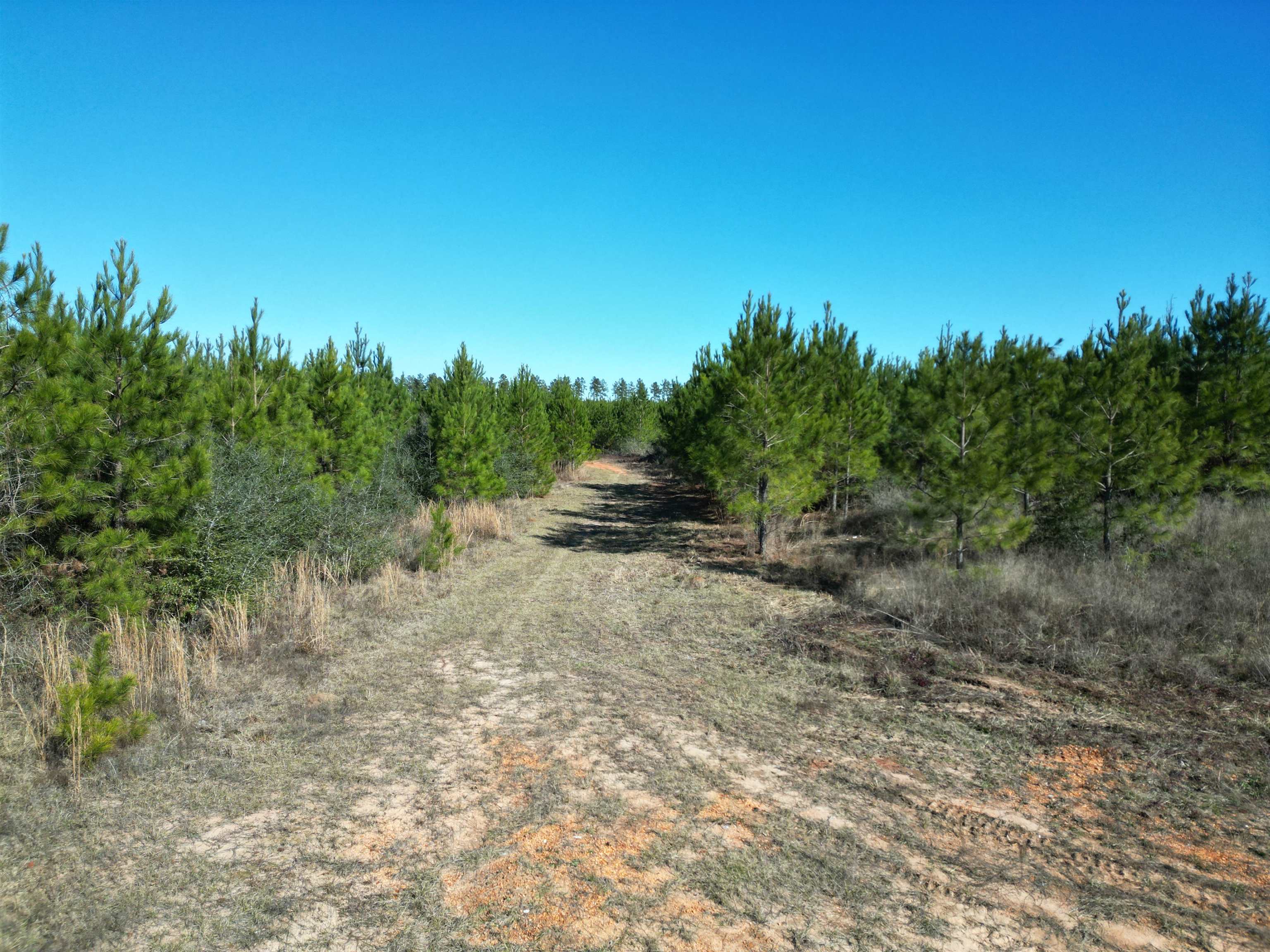 Lot 5 Robinsonville Road Atmore, AL 36502 - Photo 13 of 18