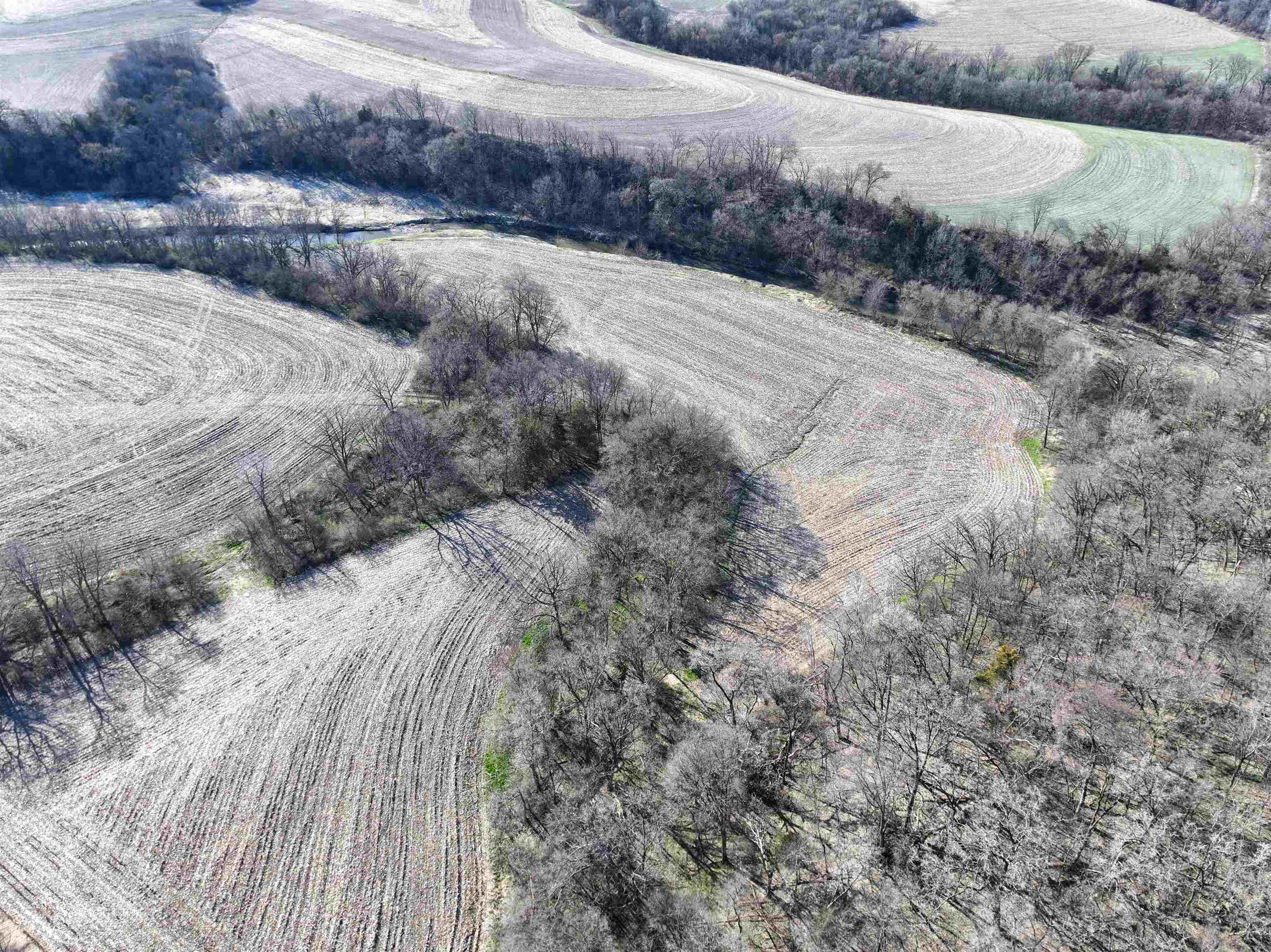 229.98-acres Whitcomb Lane Lancaster, WI 53813 - Photo 24 of 57