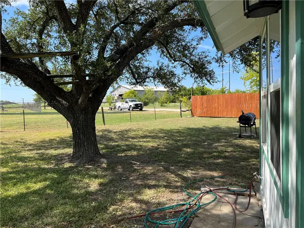 a view of a tree in a yard