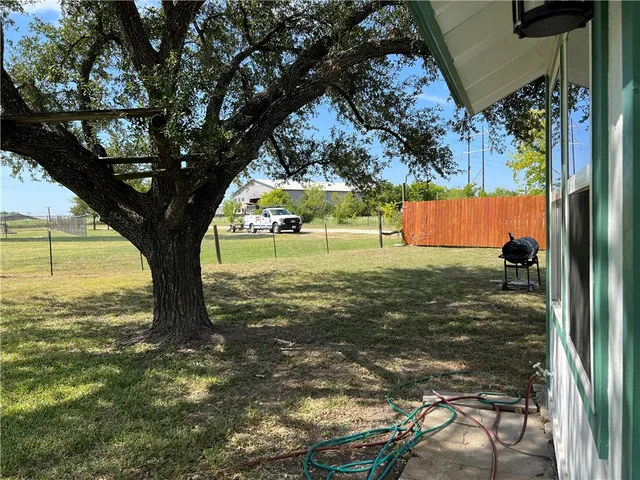 a view of a tree in a yard