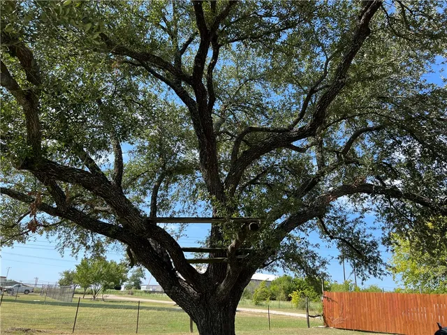 $2,050 | 515 Bonita Vista Drive, Buda, TX 78610