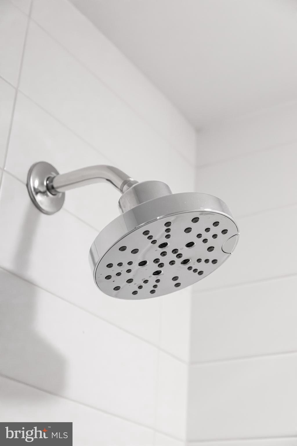 2248 Ontario Road Northwest, Unit 2 Washington, DC 20009 - Photo 22 of 30 Delta Bowery Shower Head and Vanity Faucet