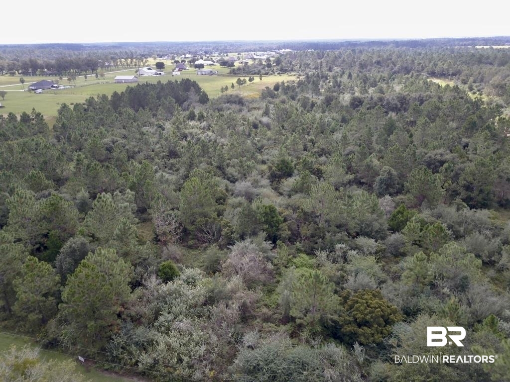 0 Fell Road Elberta, AL 36530 - Photo 13 of 13