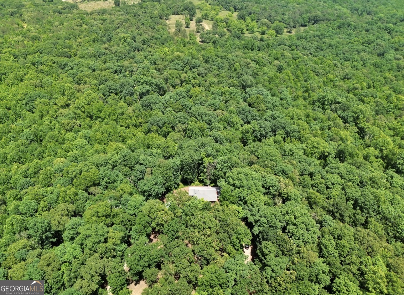 285 Wolf Den Road Royston, GA 30662 - Photo 64 of 67
