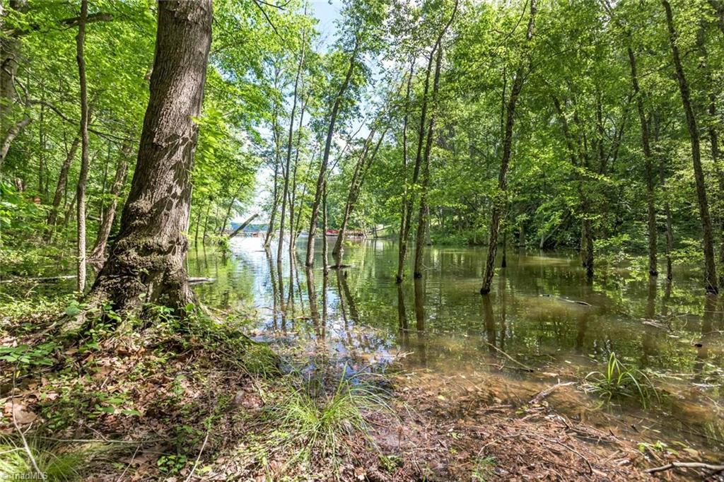 735 White Crane Road Salisbury, NC 28146 - Photo 16 of 30 Gallery Image 16