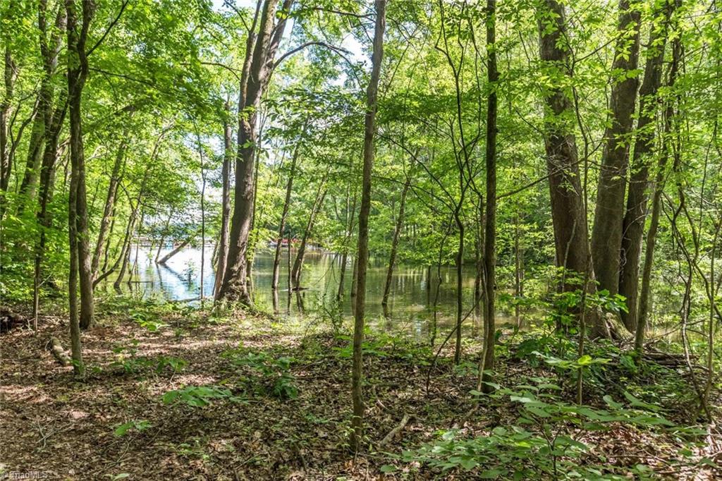 735 White Crane Road Salisbury, NC 28146 - Photo 17 of 30 Gallery Image 17