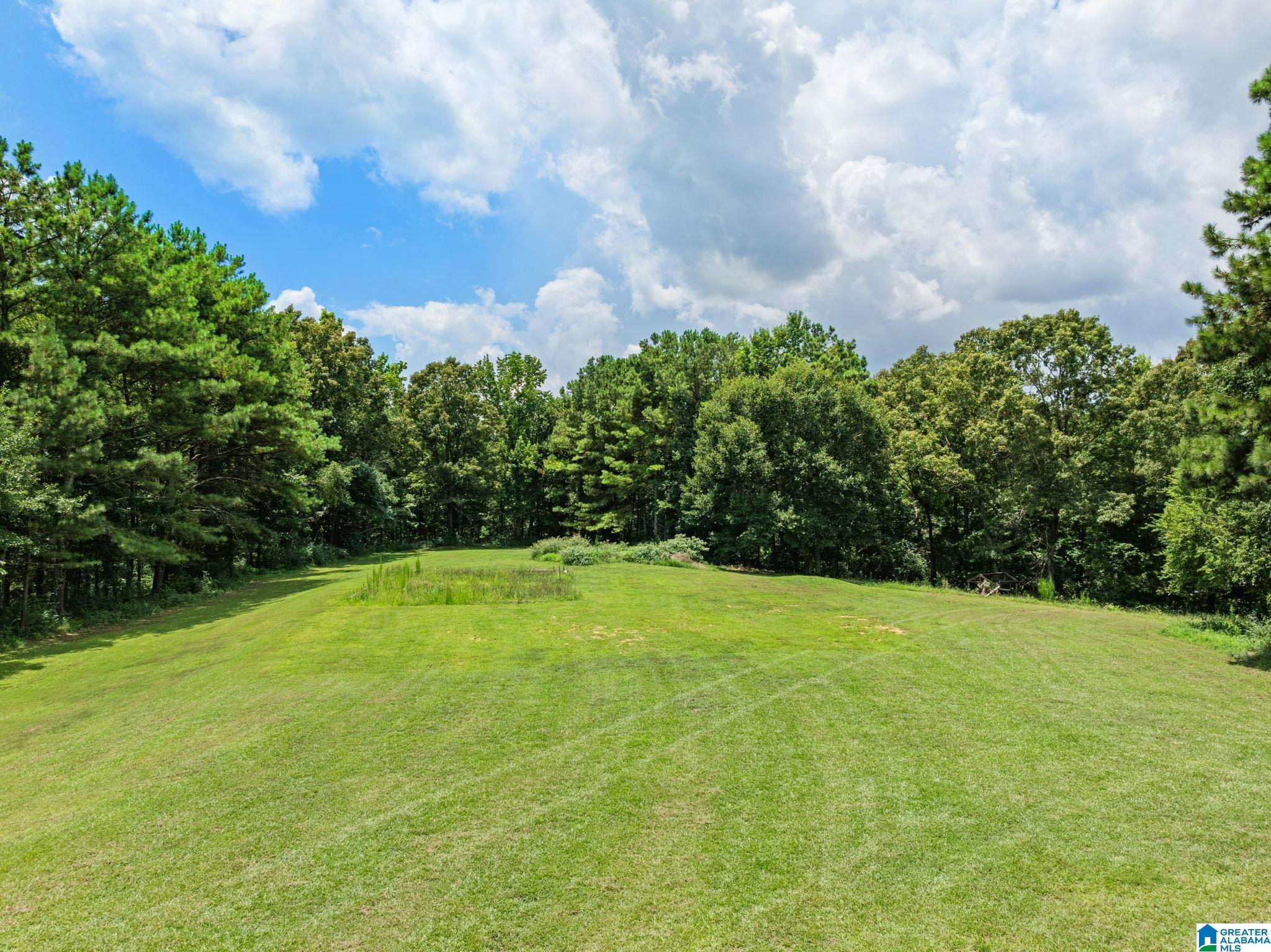 362 Teem Road Cullman, AL 35057 - Photo 58 of 70