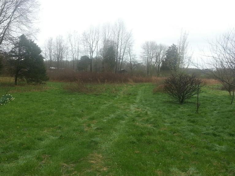 703 Singleton Road Eubank, KY 42567 - Photo 3 of 15 Additional Photo