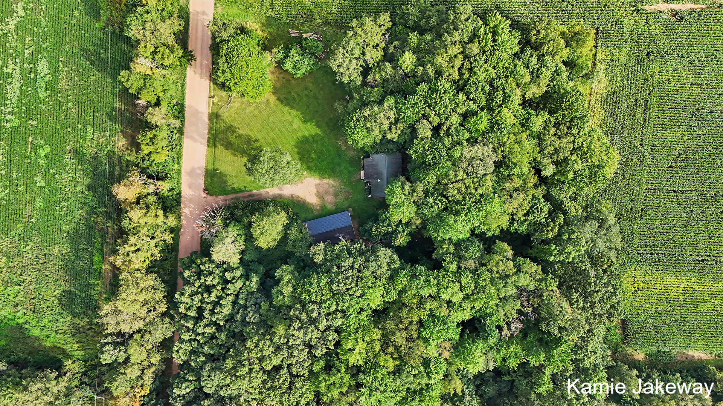 10481 Brown Road Fenwick, MI 48834 - Photo 24 of 24 DJI_20260901103950_0046_D