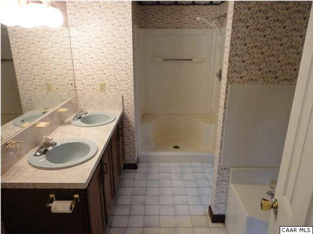 167 Jacks Shop Road Rochelle, VA 22738 - Photo 16 of 20 a bathroom with a sink a toilet and shower