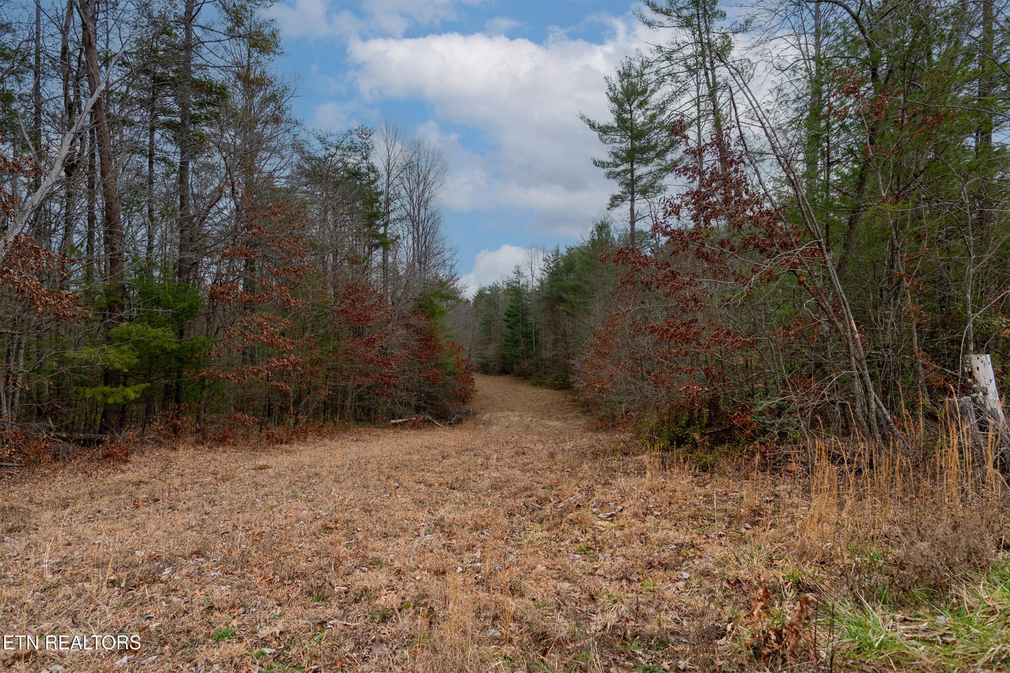 1567 Twin Bridge Road Deer Lodge, TN 37726 - Photo 13 of 26 Gallery Image 13