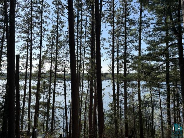 3506 Hanson Lk Road Ely, MN 55731 - Photo 5 of 26