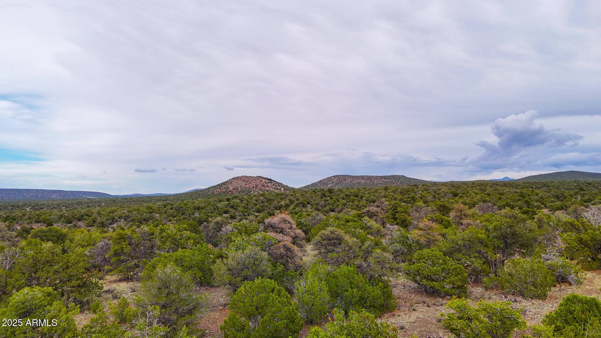 132 East Sidewinder Road, Unit 438 Williams, AZ 86046 - Photo 5 of 14 dji_fly_20250904_170230_0621_17570876683