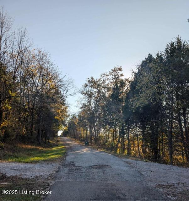 522 Harper Valley Road Cave City, KY 42127 - Photo 6 of 20 att.9el4rQWlQVeLsvGNUO6Yqogv3NQtLkFlQW4z