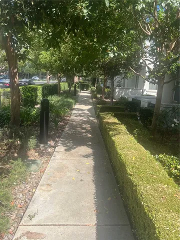 a view of a yard with plants