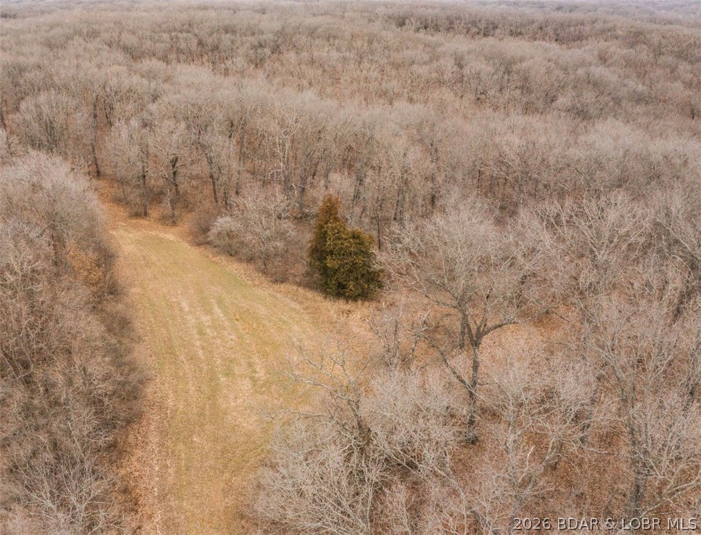 21657 Sawmill Road Versailles, MO 65084 - Photo 29 of 49