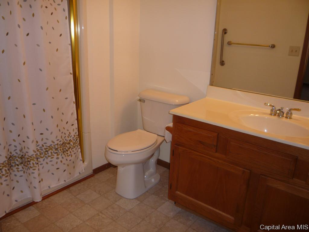 2009 Clara Mae Court Springfield, IL 62711 - Photo 13 of 15