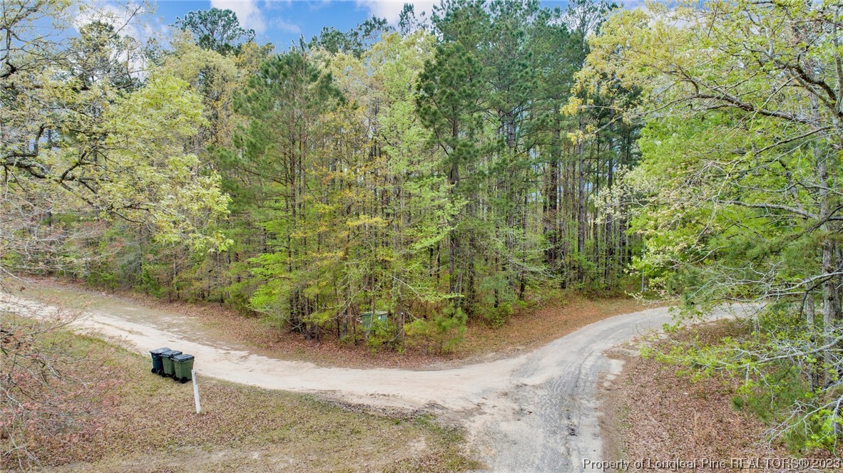 6823 Fox Run Road Linden, NC 28356 - Photo 4 of 17 Gallery Image 4