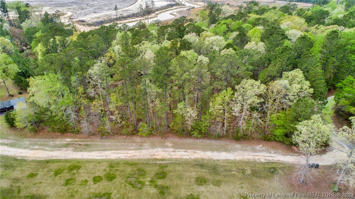 6823 Fox Run Road Linden, NC 28356 - Photo 5 of 17 Gallery Image 5