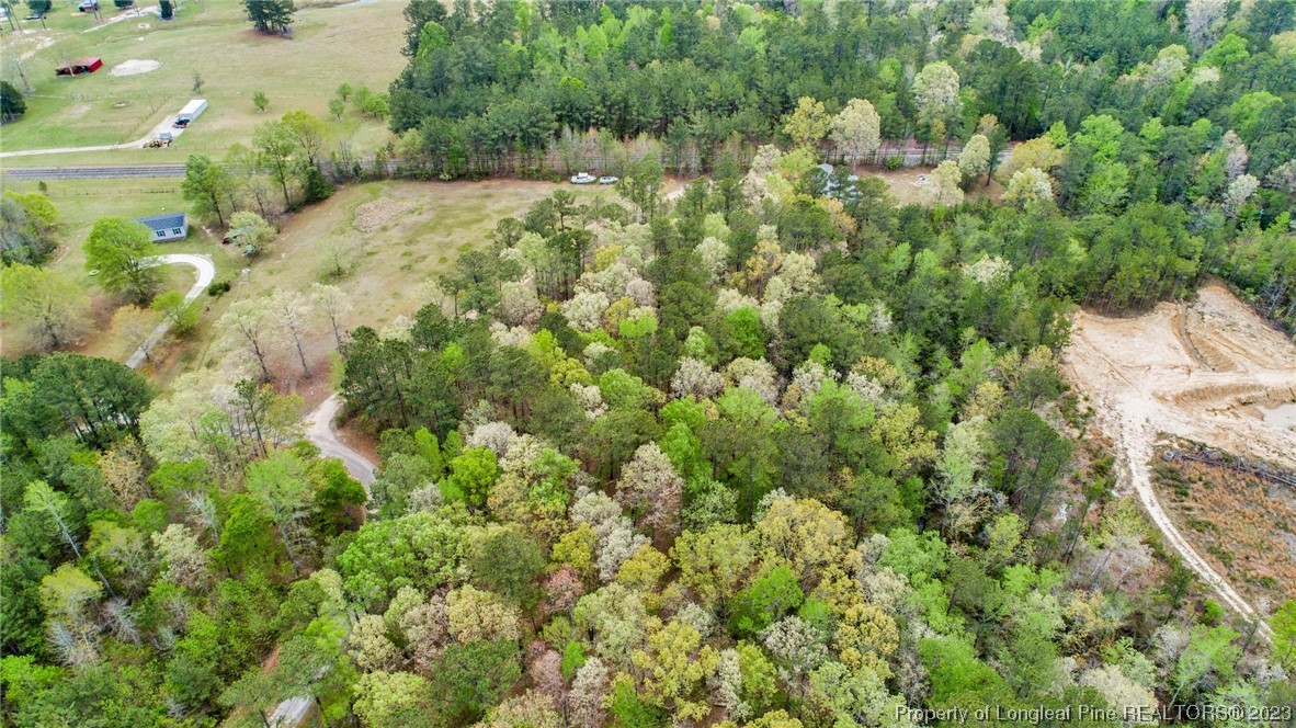 6823 Fox Run Road Linden, NC 28356 - Photo 9 of 17 Gallery Image 9